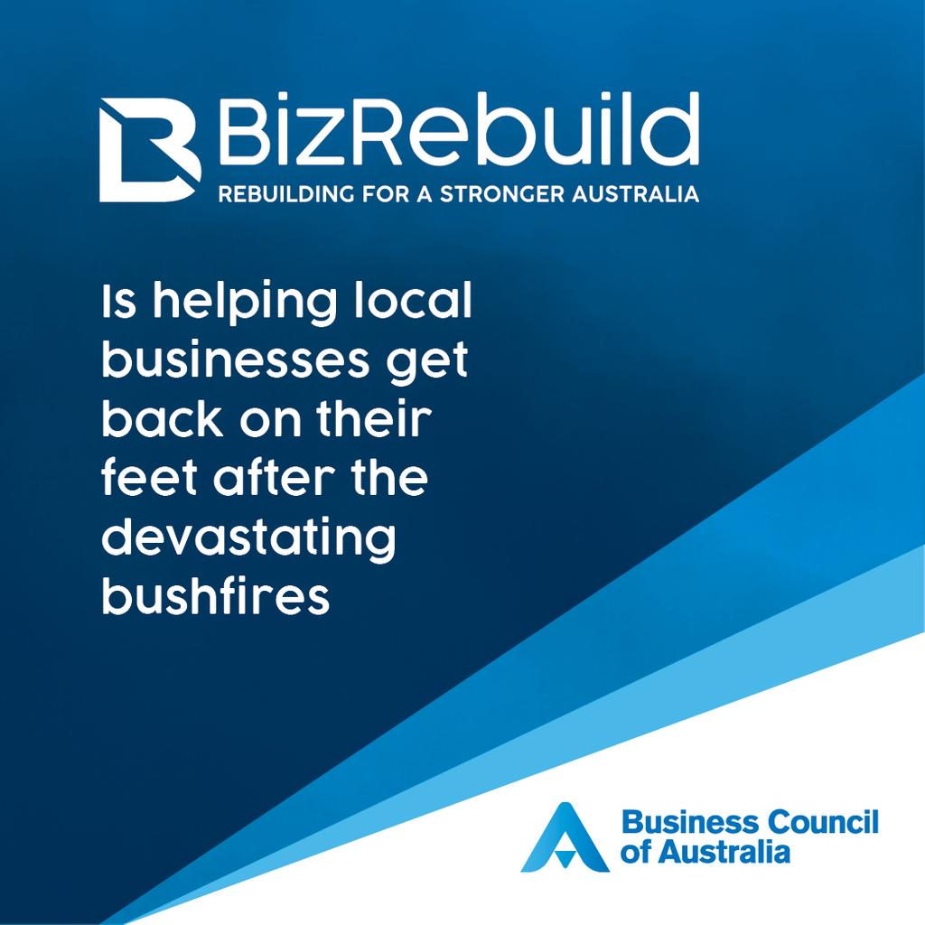 Biz Rebuild