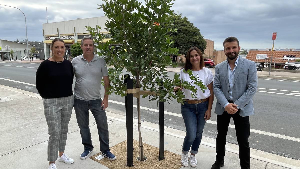 Merimbula Tree planting project